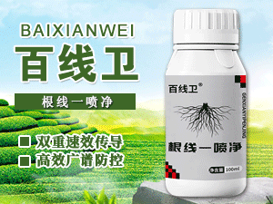 ɽ����������Ƽ����޹�˾