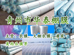 �����л�̩��Ĥ��