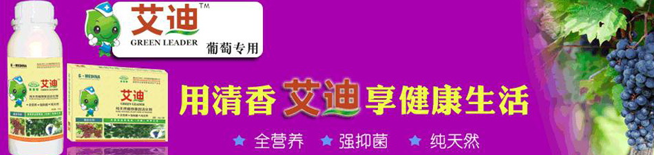 ���������Ǽ��ţ��й������޹�˾