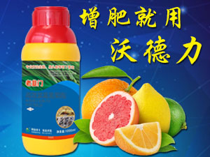 ƷƼ޹˾