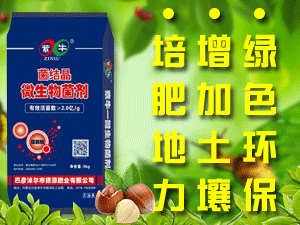 内蒙古紫牛生物科技有限公司