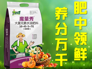 ���ϻ�ũ����Ƽ����޹�˾