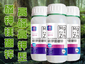 �����ֶ���ũҵ�Ƽ����޹�˾