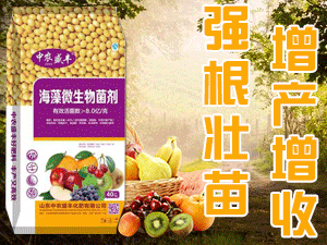 ɽ����ũʢ�ữ�����޹�˾