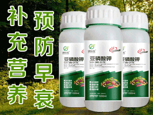 ����������ũҵ�Ƽ����޹�˾