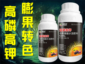 �𱶴�����Ƽ����޹�˾