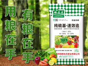 �����д�����̬��ҵ���޹�˾