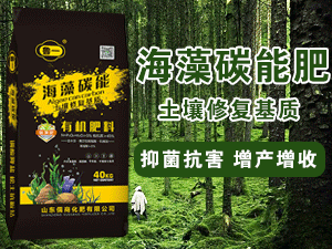 ɽ�����̻������޹�˾