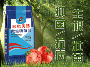 ɽ����ũ����Ƽ����޹�˾