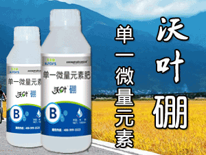 ����ʩ�����������＼�����޹�˾