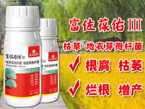 ����������������Ƽ����޹�˾