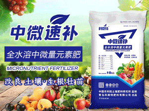 �ൺ��΢�ط������޹�˾