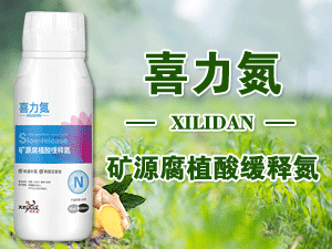 ������ɷ�����Ƽ����޹�˾