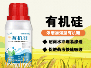 �ӱ����ũũҵ�Ƽ����޹�˾