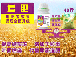 ��������ũ���ﱣ�����޹�˾