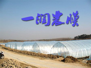 ������һ��ũĤ��