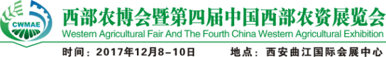 ͼƬ1.png