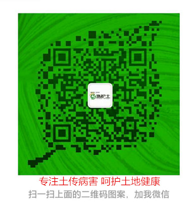 ͼƬ18.png