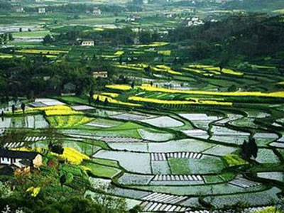 nong1.jpg nong1.jpg