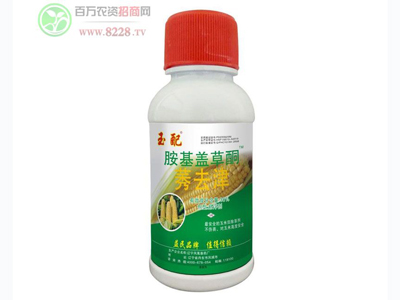 ֣������ֵ����ӵ�к�����.jpg