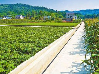 111.jpg