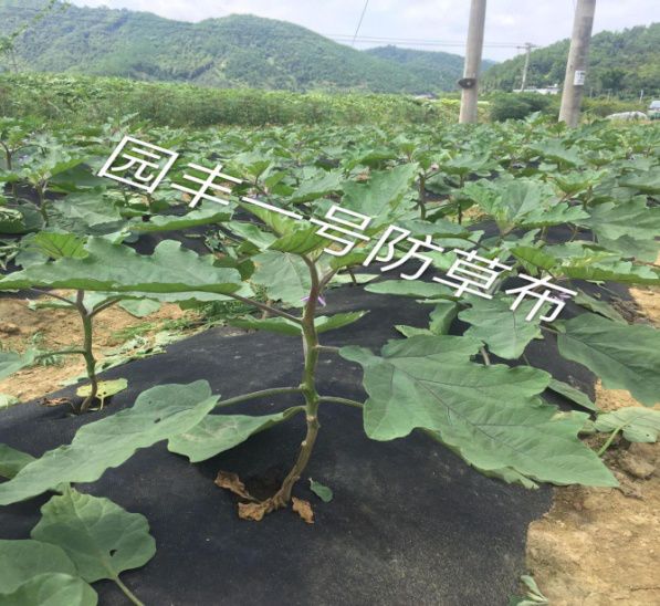宕囦箟鍘垮垱鏂板垱涓氬ぇ璧涘睍鎾磭涔夊幙濞侀獜楂樺垎瀛愬姛鑳芥潗鏂欑鎶鏈夐檺鍏徃鈥斺旀柊鍨嬬幆淇濆彲闄嶈В闃茶崏甯冨啘涓氶鍩熷簲鐢?.jpg 宕囦箟鍘垮垱鏂板垱涓氬ぇ璧涘睍鎾磭涔夊幙濞侀獜楂樺垎瀛愬姛鑳芥潗鏂欑鎶鏈夐檺鍏徃鈥斺旀柊鍨嬬幆淇濆彲闄嶈В闃茶崏甯冨啘涓氶鍩熷簲鐢?.jpg