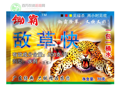 周口启龙作物欢迎您!1.jpg 周口启龙作物欢迎您!1.jpg