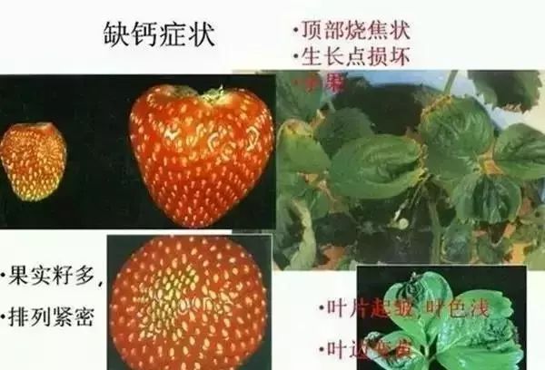 图片3.jpg 图片3.jpg