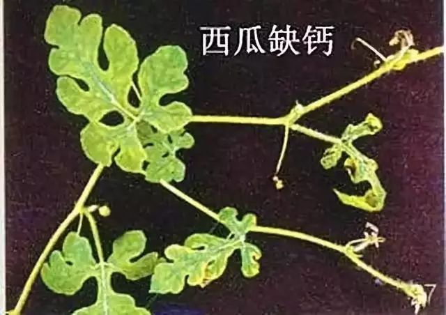图片5.jpg 图片5.jpg