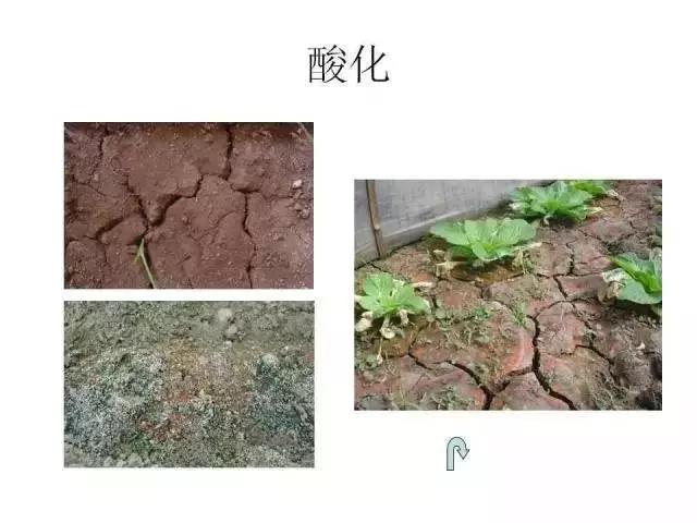 ͼƬ2.jpg