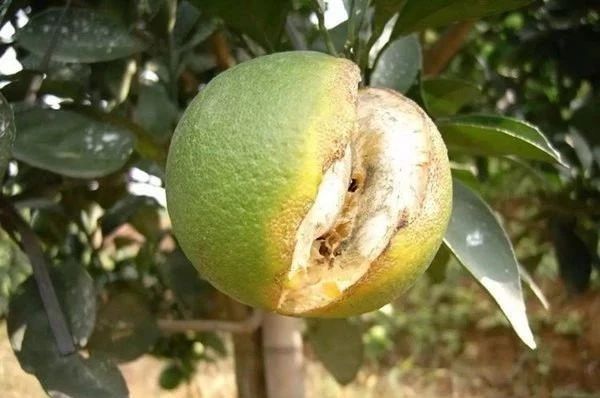 ͼƬ2.jpg
