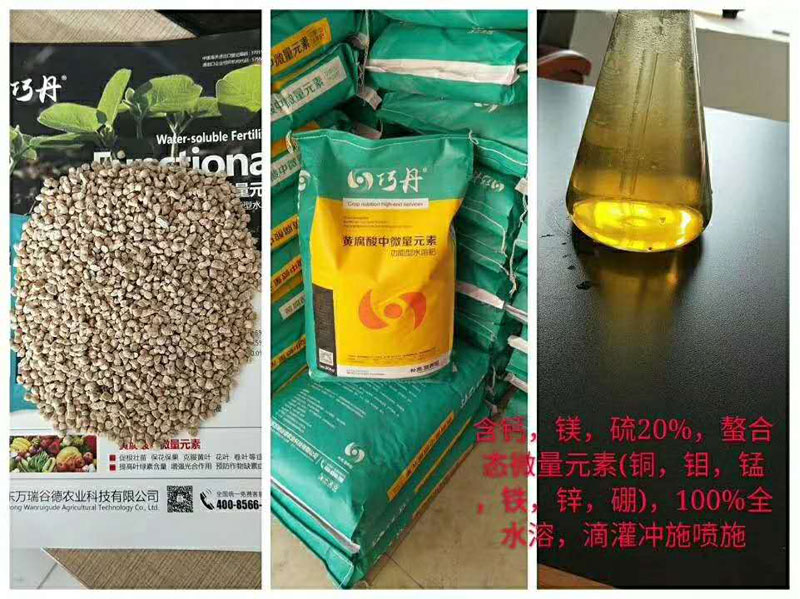 图片1.jpg 图片1.jpg