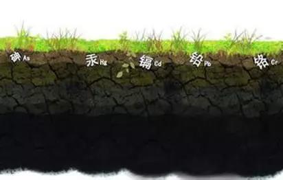 图片7.jpg 图片7.jpg
