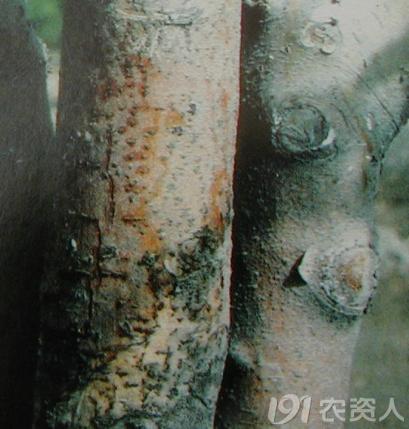 图片3.jpg 图片3.jpg