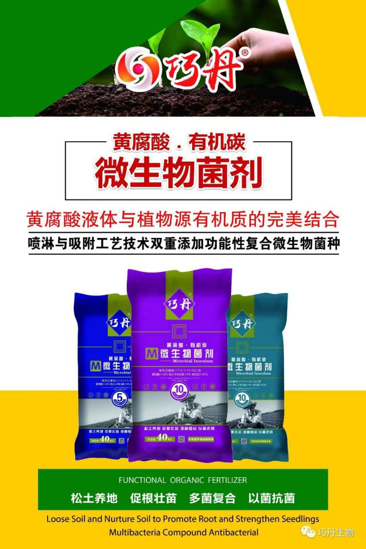 图片4.jpg 图片4.jpg