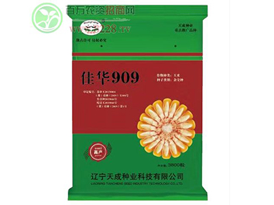�ѻ�909����Ϊ��ֲ�ߴ������ߵľ���Ч��1.jpg