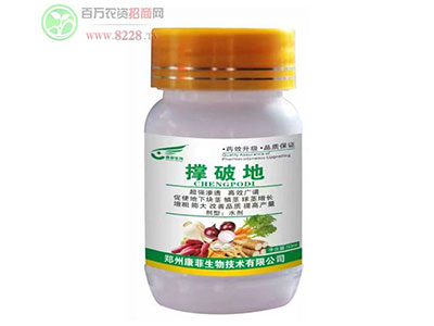 康菲农业以人为本,科技创新1.jpg 康菲农业以人为本,科技创新1.jpg