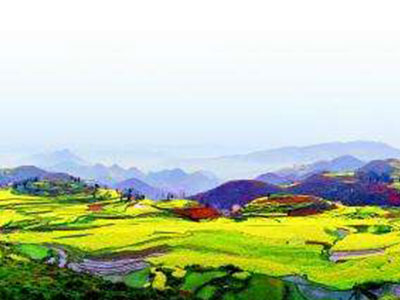 δ���Ĵ����̸���η�&aring;��?.jpg