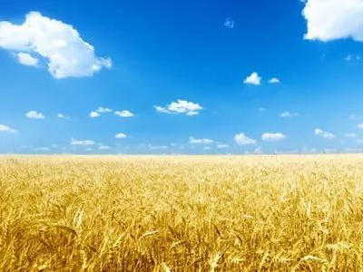 ũ���г���̬����չ �����Ƹ�����?1.jpg