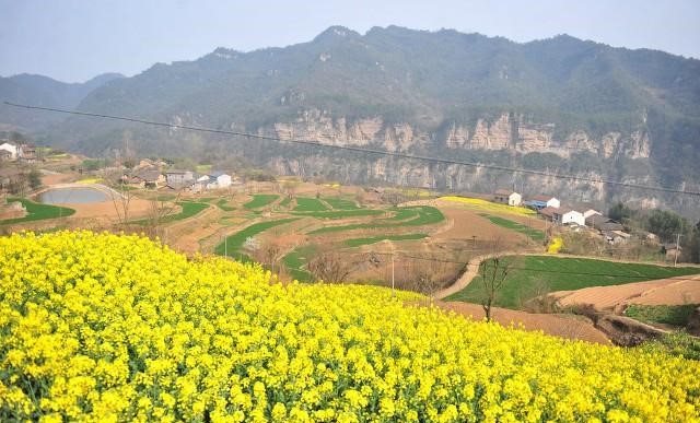 �������������ũ�����?1.jpeg