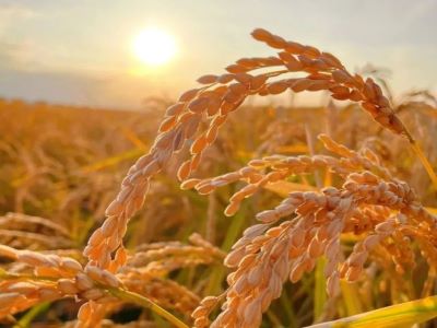 ũ����β������ø����ǿ�?1 .jpeg