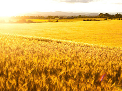 想要成为一名优秀的农资代理商应该如何�?.jpg 想要成为一名优秀的农资代理商应该如何�?.jpg