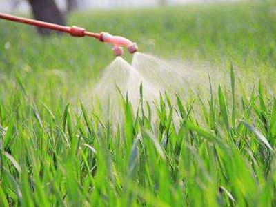 农民选择高端农药的倾向已日益明�?.jpeg 农民选择高端农药的倾向已日益明�?.jpeg