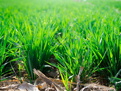 ΪʲôҪѡÔñ·ÊÁϼÓÃËÐÐÒµ1.jpg ΪʲôҪѡÔñ·ÊÁϼÓÃËÐÐÒµ1.jpg