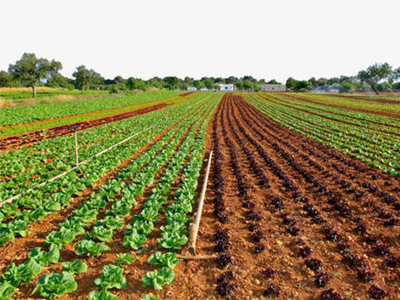 农资代理如何提高竞争�?.jpg 农资代理如何提高竞争�?.jpg