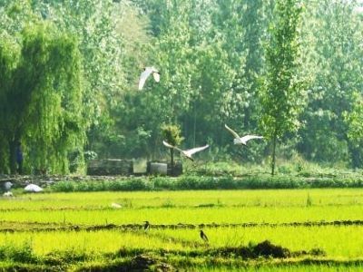 农资行业是不是高危行�?.jpeg 农资行业是不是高危行�?.jpeg