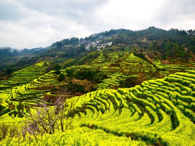 农资代理商如何改变失败的局�?.jpg 农资代理商如何改变失败的局�?.jpg