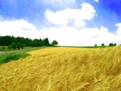 对于农药代理商而言怎么选择加盟�?.jpeg 对于农药代理商而言怎么选择加盟�?.jpeg