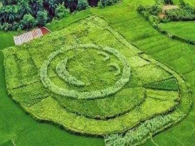 农资代理商如何做促销1.jpeg 农资代理商如何做促销1.jpeg