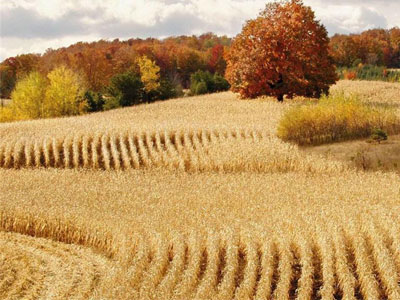 肥料行业淡季该怎么�?.jpg 肥料行业淡季该怎么�?.jpg